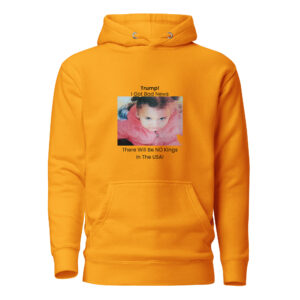 NO KINGS, IN THE USA, Unisex Hoodie